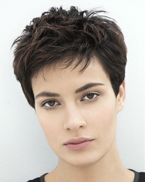 Franck Provost Short Brown Hairstyles